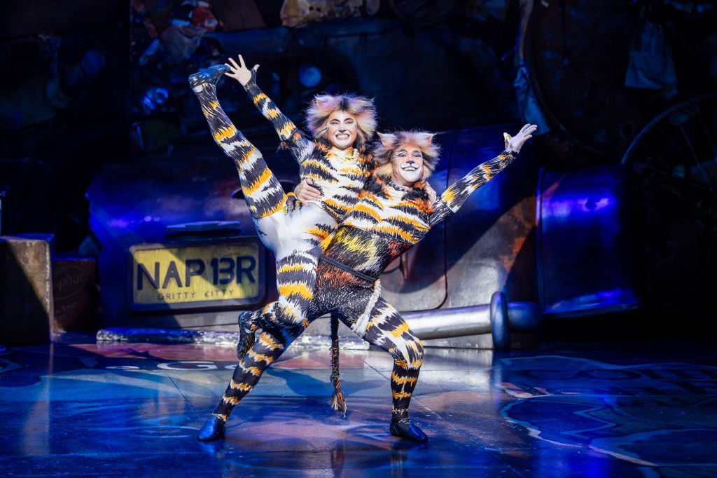 Cats (Theatre Royal)&nbsp;★★★½