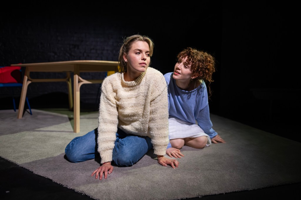 The Girl’s Guide to Saving the World (Old Fitz)&nbsp;★★★½