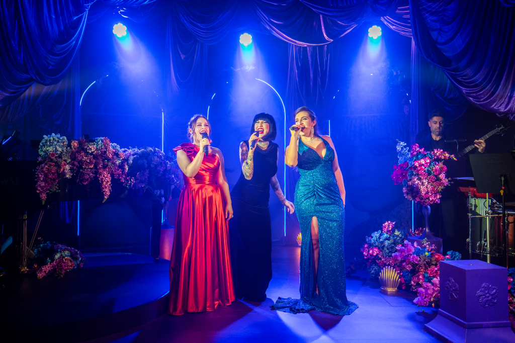 Barbra: The Greatest Star (Hayes)&nbsp;★★★★★